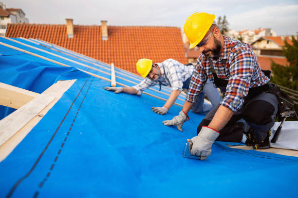 Best Roof Maintenance Services  in Auburn, CA