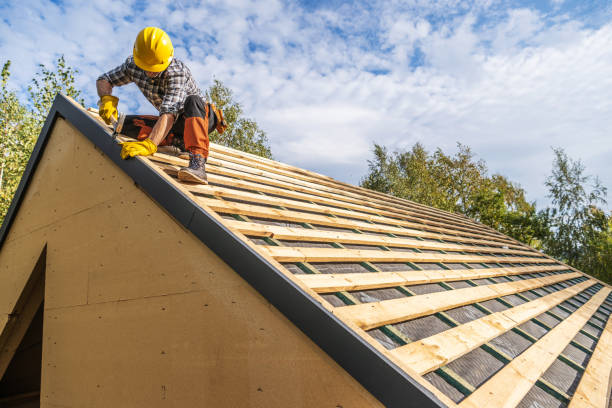 Best Roof Gutter Cleaning  in Auburn, CA